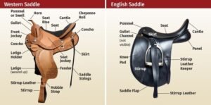 adrianaufu pindown.io 1781551429