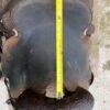 jeff smith cutter saddle