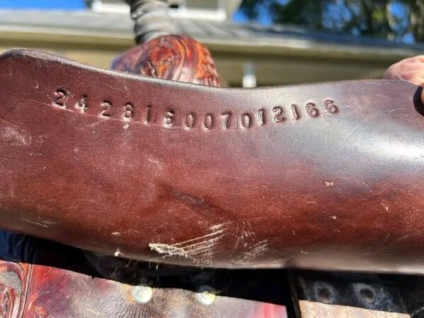 2026/06/128597.jpg 128597.jpg