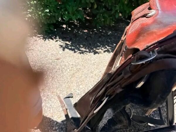 2026/06/171996.jpg 171996.jpg